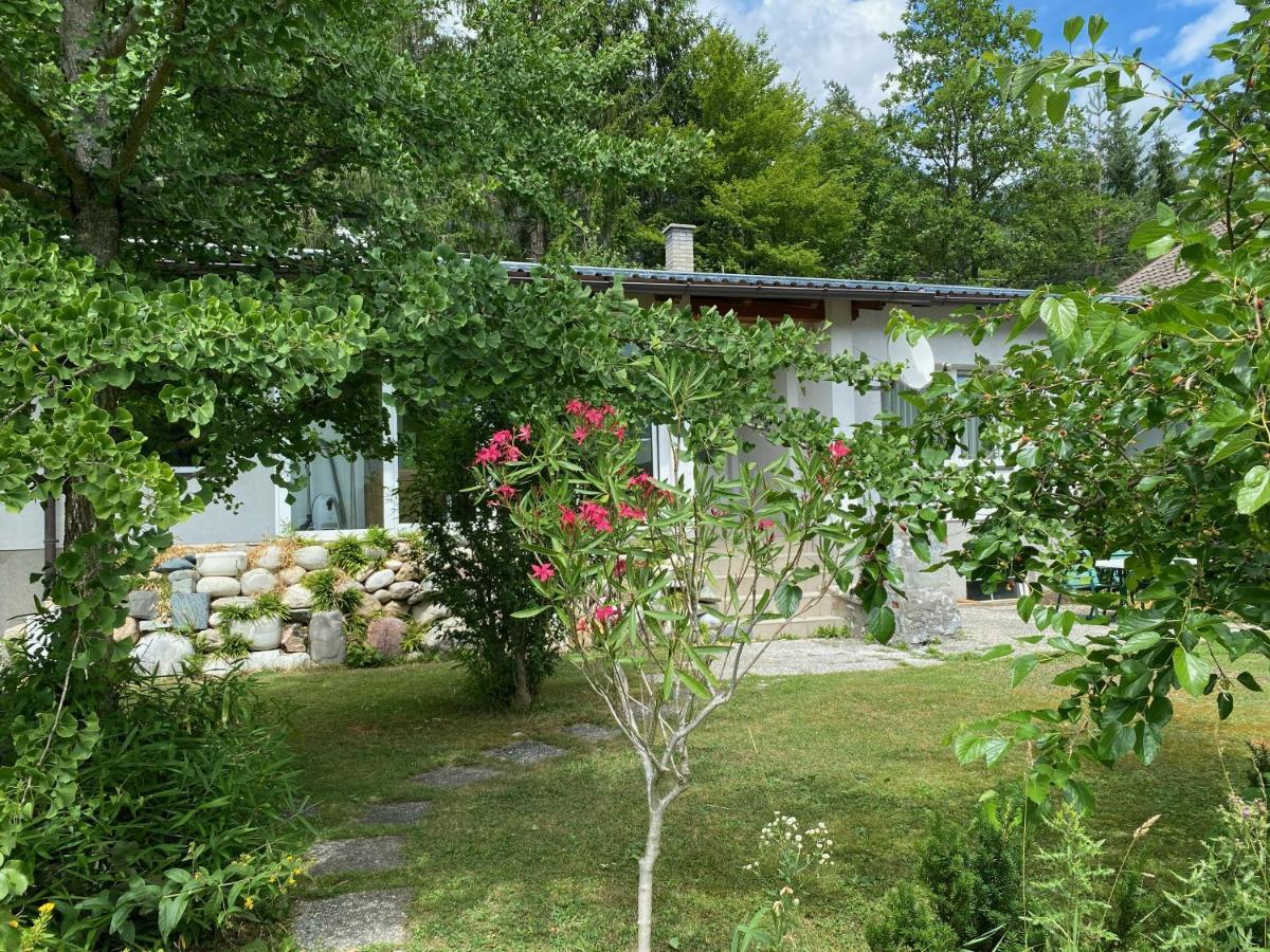 Bungalow Grabner แฮร์มากอร์ ภายนอก รูปภาพ